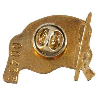 Знак нагрудный Знамя Победы в ВОВ 1941-1945 (2301851) - HAKKI.RU