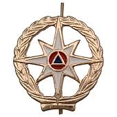 Эмблема ( знак ) петличная ( петлица ) МЧС России с просечкой золотистая (2102105) - ВОЕНТОРГ ТЫЛОВИК