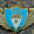 Знак нагрудный ВДВ / Спецназ крылья парашют закрутка (2301235) - HAKKI.RU