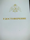 Знак нагрудный ФСВНГ ( Росгвардия ) РФ ОТЛИЧНИК СЛУЖБЫ в воинских частях (подразделениях) РХБЗ (2301641) - ВОЕНТОРГ ТЫЛОВИК