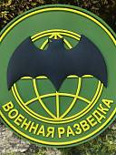Нашивка ( шеврон патч patch ) тактическая ВОЕННАЯ РАЗВЕДКА 3D PVC на липучке D-8,5 оливковая (2504363) - ВОЕНТОРГ ТЫЛОВИК