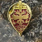 Знак фрачный ФСБ России на пимсе (2302069) - ВОЕНТОРГ ТЫЛОВИК