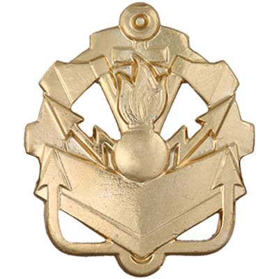 Эмблема ( знак ) петличная ( петлица ) Инженерные войска золотистая (2102091) - HAKKI.RU