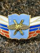 Знак должностной Начальника высшего военного училища профессиональной образовательной организации и общеобразовательной организации закрутка (2309057) - ВОЕНТОРГ ТЫЛОВИК