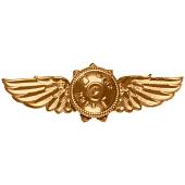 Знак нагрудный Классность офицерского состава ФСО России МАСТЕР закрутка (2301295) - ВОЕНТОРГ ТЫЛОВИК