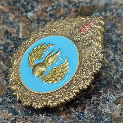 Знак нагрудный Эмблема ВДВ (2301518) - HAKKI.RU