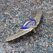 Знак нагрудный Спецназ крылья ВДВ ( тигр ) закрутка (2301237) - ВОЕНТОРГ ТЫЛОВИК