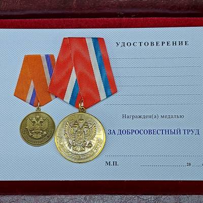 Медаль За добросовестный труд / Ветеран (2401174) - HAKKI.RU