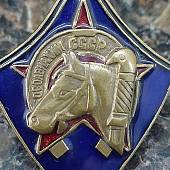 Знак нагрудный Всадник ОСОАВИАХИМ (2305027) - ВОЕНТОРГ ТЫЛОВИК