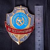 Знак ( жетон ) нагрудный ПОМОЩНИК ДЕЖУРНОГО ПО ТЕХ. ТЕРРИТОРИИ (2304031) - ВОЕНТОРГ ТЫЛОВИК