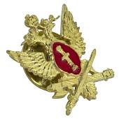 Знак фрачный ФСИН РОССИИ 19х20 мм на пимсе золотистый (2302996) - ВОЕНТОРГ ТЫЛОВИК