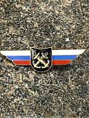 Знак должностной Командира учебной воинской части и другого воинского формирования закрутка (2309050) - ВОЕНТОРГ ТЫЛОВИК