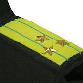Портфель для бани подарочный ВДВ / ВКС /ВВС России / парадные погоны Полковник черный (4418997) - ВОЕНТОРГ ТЫЛОВИК