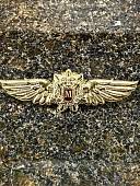Знак нагрудный ФСО РОССИИ МАСТЕР закрутка (2301370) - ВОЕНТОРГ ТЫЛОВИК