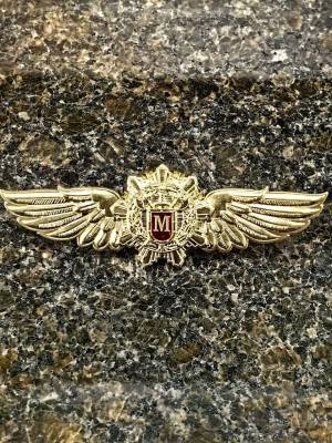 Знак нагрудный ФСО РОССИИ МАСТЕР закрутка (2301370) - HAKKI.RU