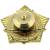 Знак нагрудный Ветеран авиации ВМФ СССР закрутка (2301165) - HAKKI.RU