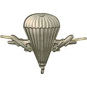 Эмблема ( знак ) петличная ( петлица ) ВДВ России нового образца защитная (2102008) - ВОЕНТОРГ ТЫЛОВИК