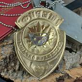 Знак ( жетон ) нагрудный ШЕРИФ служба охраны (2304986) - ВОЕНТОРГ ТЫЛОВИК