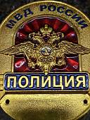Знак ( жетон ) нагрудный ПОЛИЦИЯ МВД РОССИИ (2304801) - ВОЕНТОРГ ТЫЛОВИК