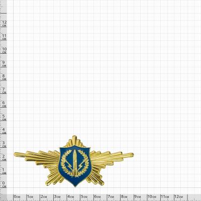 Знак нагрудный Рота почетного караула РВСН закрутка (2301056) - HAKKI.RU