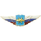Знак должностной Начальника военной академии закрутка (2309060) - ВОЕНТОРГ ТЫЛОВИК