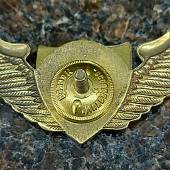 Знак нагрудный Спецназ крылья ВДВ орел закрутка (2301234) - ВОЕНТОРГ ТЫЛОВИК