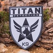 Нашивка ( шеврон патч patch ) тактическая TITAN DETECTION 3D PVC ( пластизоль ) на липучке 9х11 серая (2504184) - ВОЕНТОРГ ТЫЛОВИК