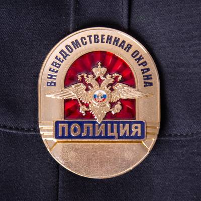 Знак ( жетон ) нагрудный Полиция Вневедомственная охрана (2304001) - HAKKI.RU