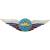 Знак должностной Командующего родом сил ВКС закрутка (2309061) - HAKKI.RU Знак должностной Командующего родом сил ВКС закрутка (2309061) - HAKKI.RU