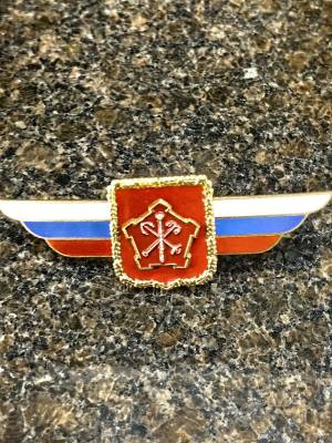 Знак должностной Командующего войсками Западного военного округа закрутка (2309006) - HAKKI.RU