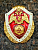 Знак нагрудный ФСВНГ ( Росгвардия ) РФ ОТЛИЧНИК СЛУЖБЫ в воинских частях (подразделениях) РХБЗ (2301641) - HAKKI