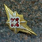 Знак нагрудный Классность ФСИН России Классный специалист МАСТЕР закрутка (2301571) - ВОЕНТОРГ ТЫЛОВИК