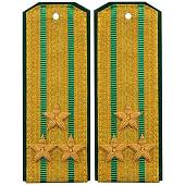 Погоны ПС ФСБ парадные на китель Полковник трапеция галун р/в (2209103) - ВОЕНТОРГ ТЫЛОВИК