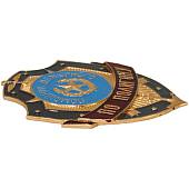 Знак ( жетон ) нагрудный ПОМОЩНИК ДЕЖУРНОГО ПО ПОЛИГОНУ (2304026) - ВОЕНТОРГ ТЫЛОВИК