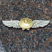 Знак нагрудный Классность офицерского состава ФСО России 3 класс закрутка (2301298) - ВОЕНТОРГ ТЫЛОВИК