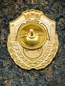 Знак нагрудный ФСВНГ ( Росгвардия ) РФ ОТЛИЧНИК СЛУЖБЫ в авиационных воинских частях (подразделениях) (2301635) - ВОЕНТОРГ ТЫЛОВИК