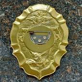 Знак ( жетон ) нагрудный Охрана ФГУП МВД России (2304008) - ВОЕНТОРГ ТЫЛОВИК