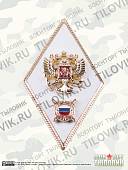 Знак нагрудный ромб об окончании Академии управления МВД РФ (2301012) - ВОЕНТОРГ ТЫЛОВИК