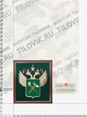 Эмблема с символикой ФТС 51х55 см [ (4406081) - HAKKI.RU