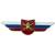 Знак должностной Командира учебной части Сухопутных войск закрутка (2309016) - HAKKI.RU Знак должностной Командира учебной части Сухопутных войск закрутка (2309016) - HAKKI.RU