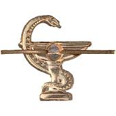 Эмблема ( знак ) петличная ( петлица ) Медицинская служба левая золотистая (2102069) - ВОЕНТОРГ ТЫЛОВИК