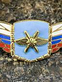 Знак должностной Командующего армией и ей равного объединения закрутка (2309058) - ВОЕНТОРГ ТЫЛОВИК