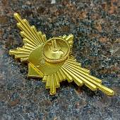 Знак нагрудный Рота почетного караула РВСН закрутка (2301056) - ВОЕНТОРГ ТЫЛОВИК