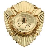 Знак нагрудный Классность рядовой состав МВД 2 класс закрутка (2301128) - ВОЕНТОРГ ТЫЛОВИК