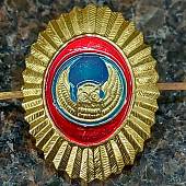 Кокарда ОХРАНА - СОВА золотистая (2105035) - ВОЕНТОРГ ТЫЛОВИК