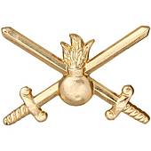 Эмблема ( знак ) петличная ( петлица ) Сухопутных войск золотая (2102066) - ВОЕНТОРГ ТЫЛОВИК