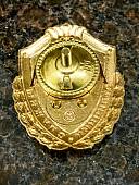 Знак нагрудный ФСВНГ ( Росгвардия ) РФ ОТЛИЧНИК СЛУЖБЫ В В/Ч И ПОДРАЗДЕЛЕНИЯХ РХБЗ (2301620) - ВОЕНТОРГ ТЫЛОВИК
