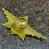 Знак нагрудный Рота почетного караула МО ВС общевойсковой закрутка (2301055) - ВОЕНТОРГ ТЫЛОВИК