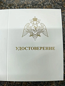 Медаль ФСВНГ ( Росгвардия ) РФ - УЧАСТНИКУ СПЕЦИАЛЬНОЙ ВОЕННОЙ ОПЕРАЦИИ (2401401) - ВОЕНТОРГ ТЫЛОВИК