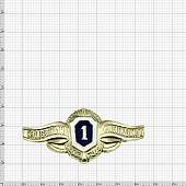 Знак нагрудный Классность рядовой состав 1 класс на булавке (2301239) - ВОЕНТОРГ ТЫЛОВИК